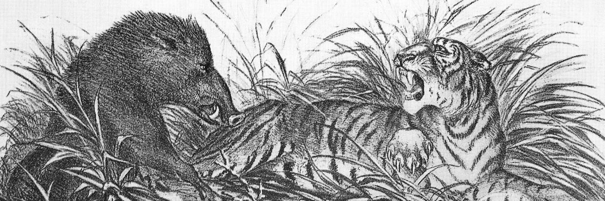 fitboar's profile banner image