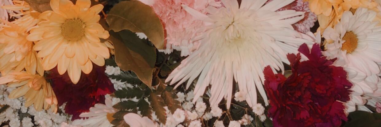 Bailey_918's profile banner image