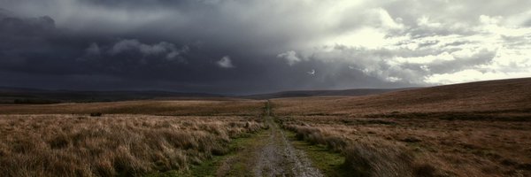 dartmoorcollect Profile Banner