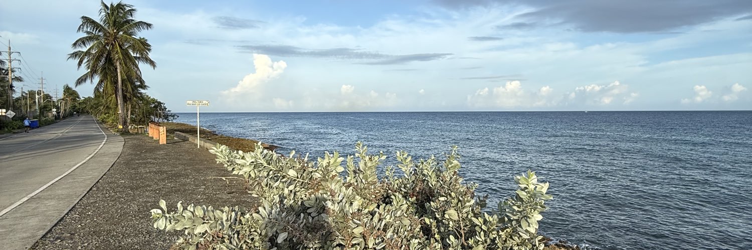 LeisonRoma's profile banner image