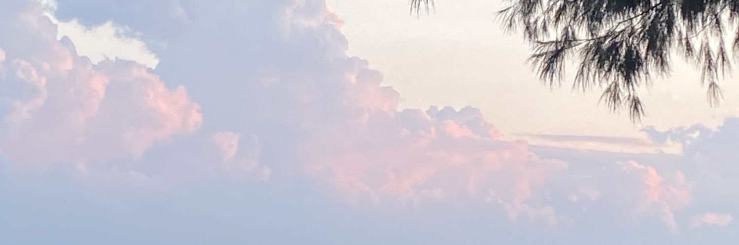 통조림 ·˚ ༘🐰🤍 banner
