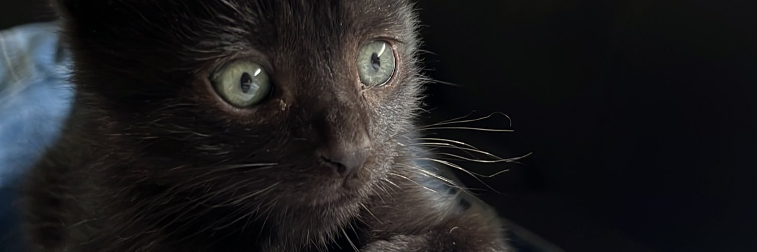 Azulbusso98's profile banner image