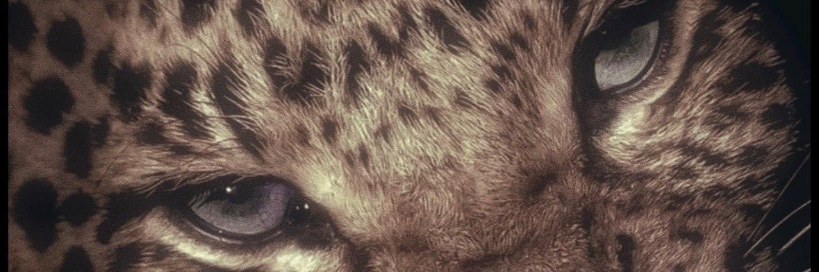 bela 𐙚 🦭 banner