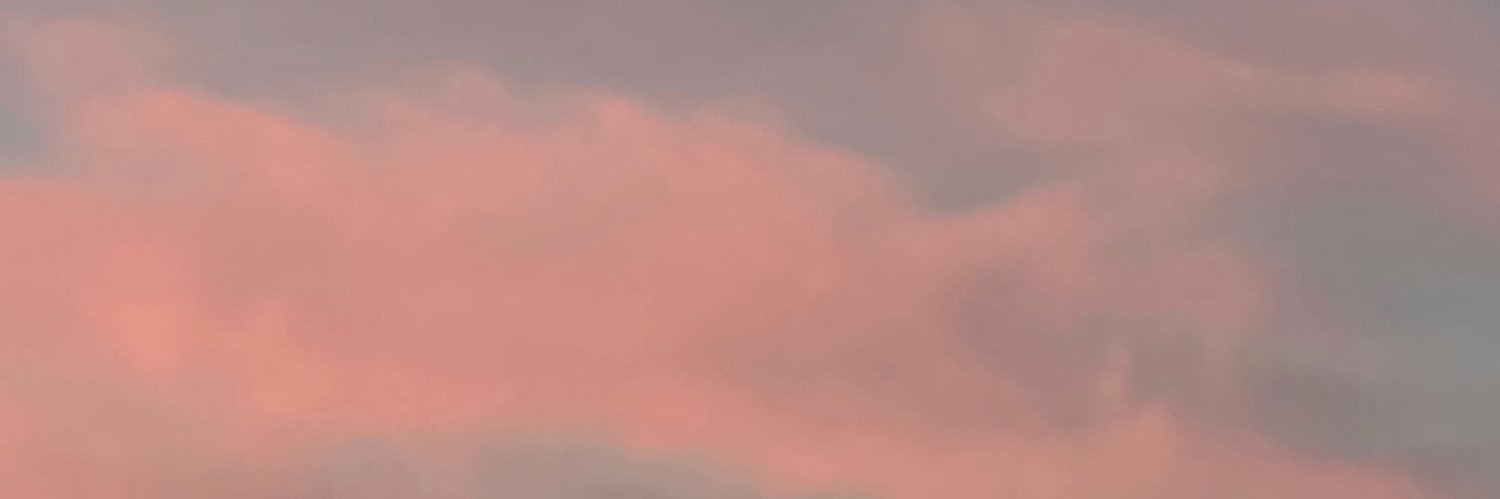 SSchechePP's profile banner image
