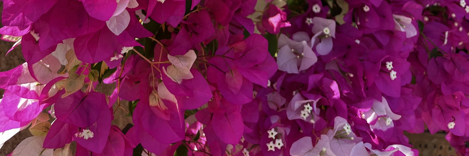hdudbd98's profile banner image