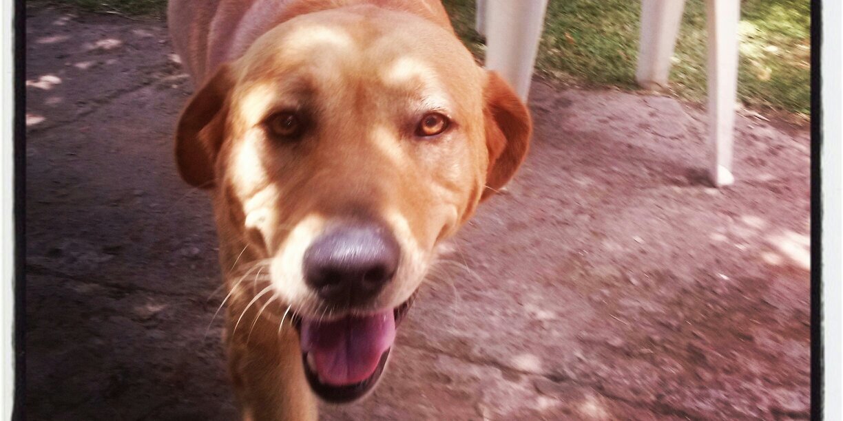 cocosorioo's profile banner image