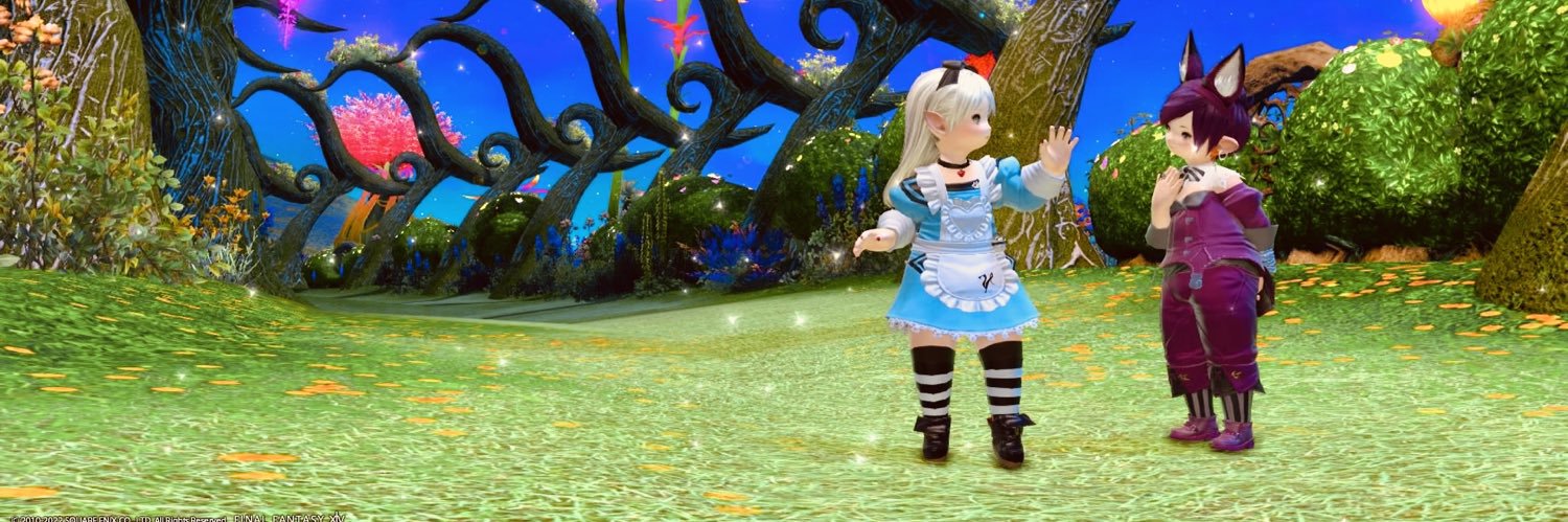 header image