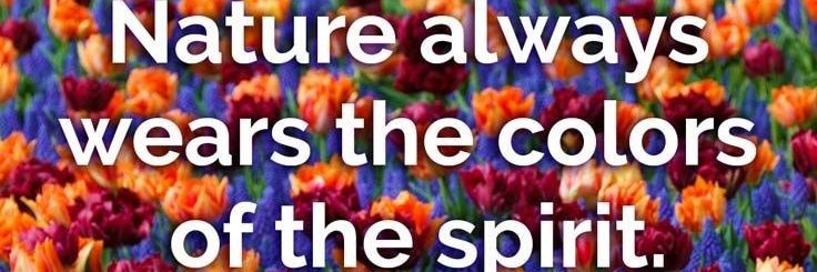 ColourNic's profile banner image