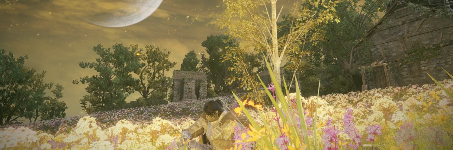 itonosei's profile banner image