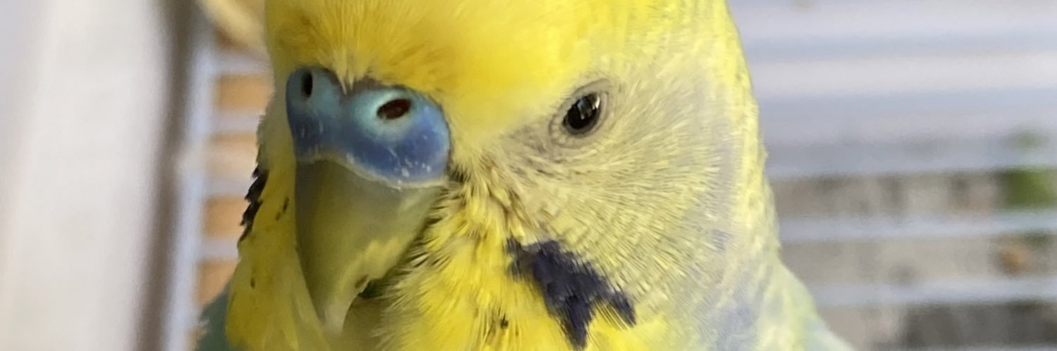 ほづきち banner