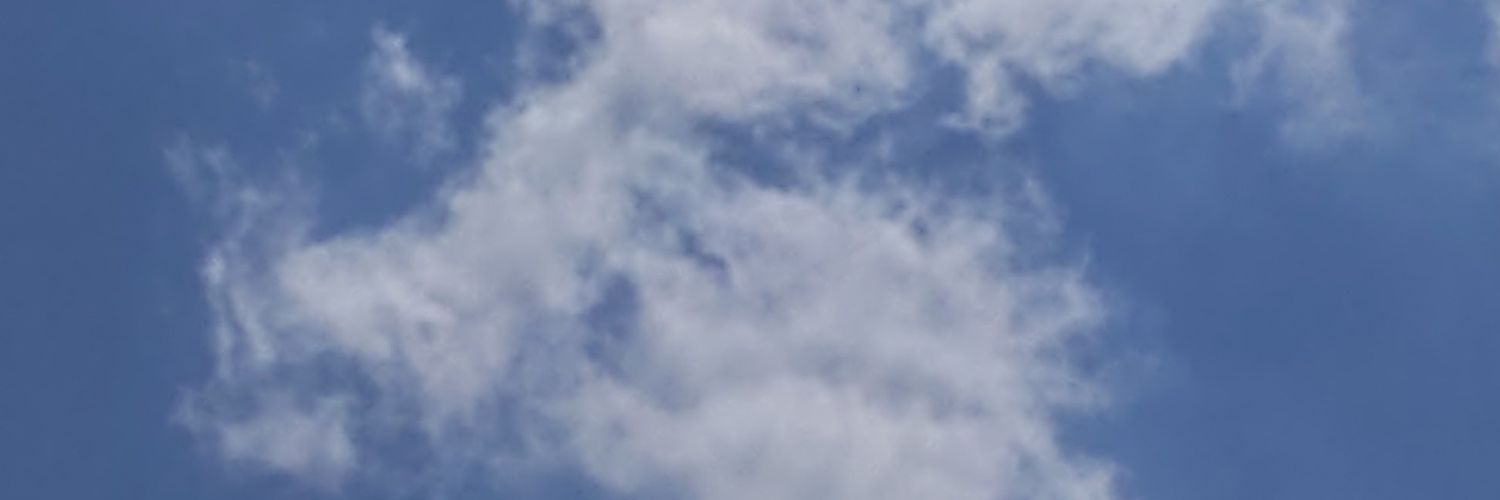 zigiii banner