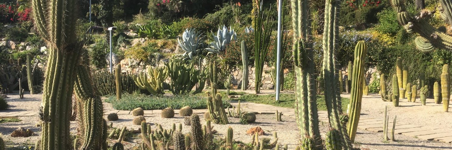 Adam Stankiewicz banner