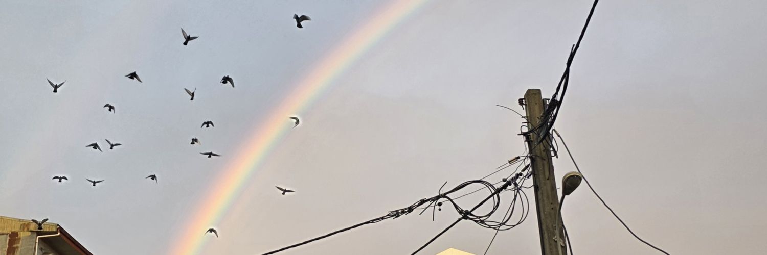 اشک پرنده banner