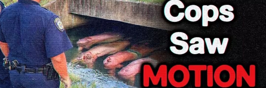 Nero Stimminga banner