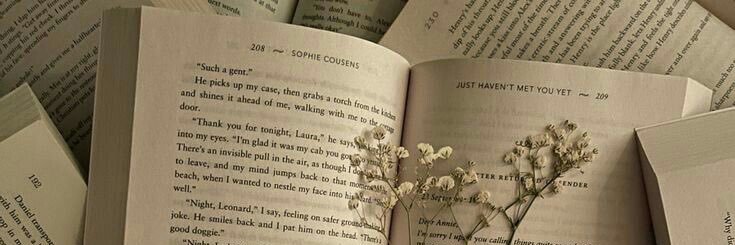 𝐣𝐮𝐥𝐢𝐚 | tavo akys banner