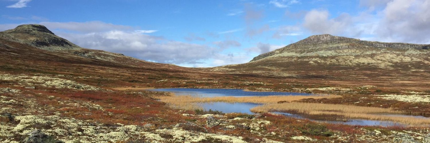 Elin Haugsgjerd Allern - @allernelin.bsky.social banner