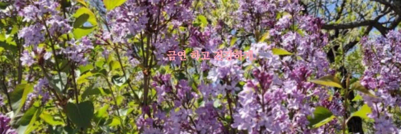 parkdigi1's profile banner image