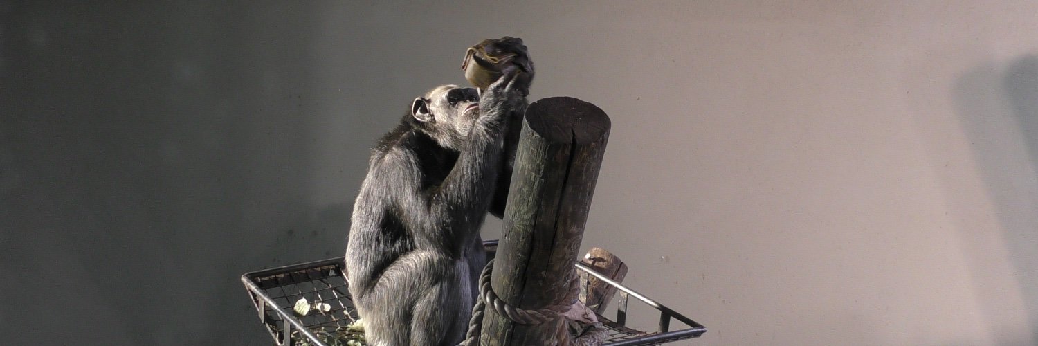 Luke A. Townrow banner