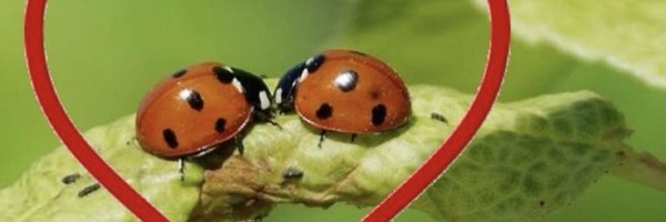 grossb0y Profile Banner
