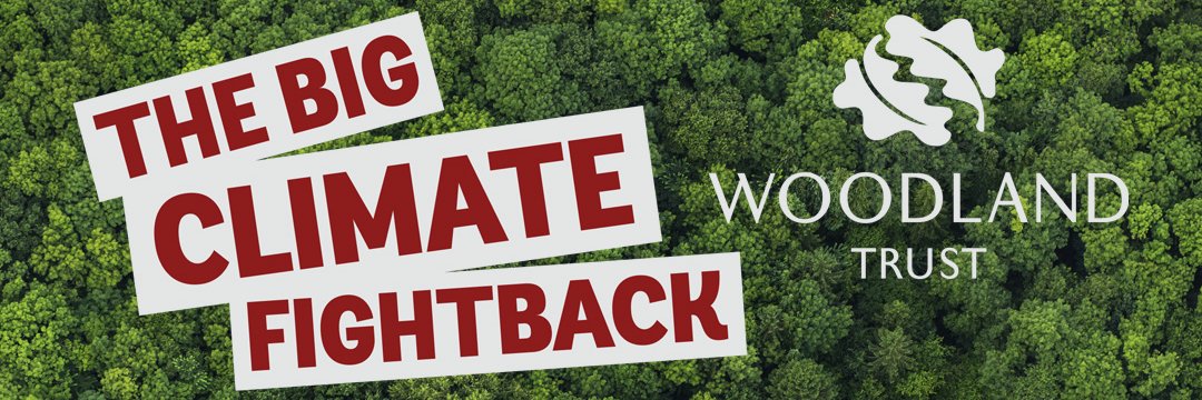 Darren Moorcroft (he/him) banner