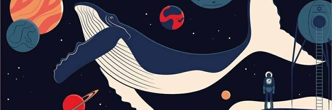 PolarTash's profile banner image