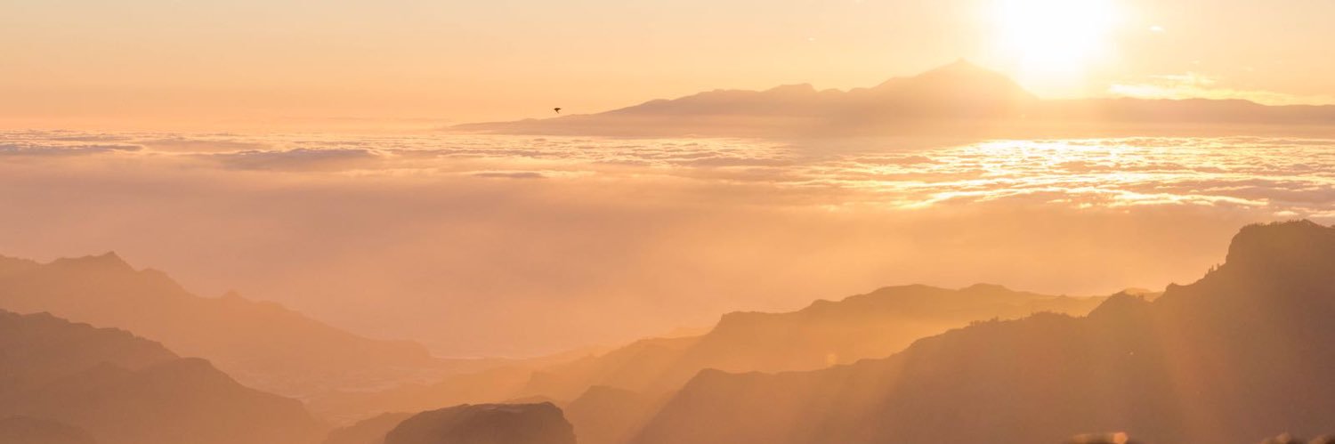 isabellh98's profile banner image
