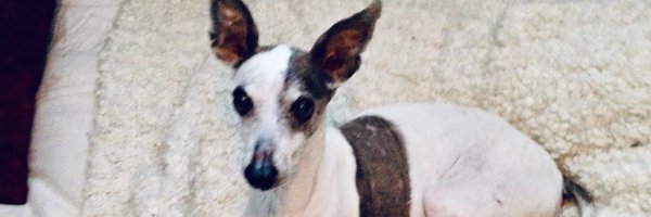 joeboyart Profile Banner