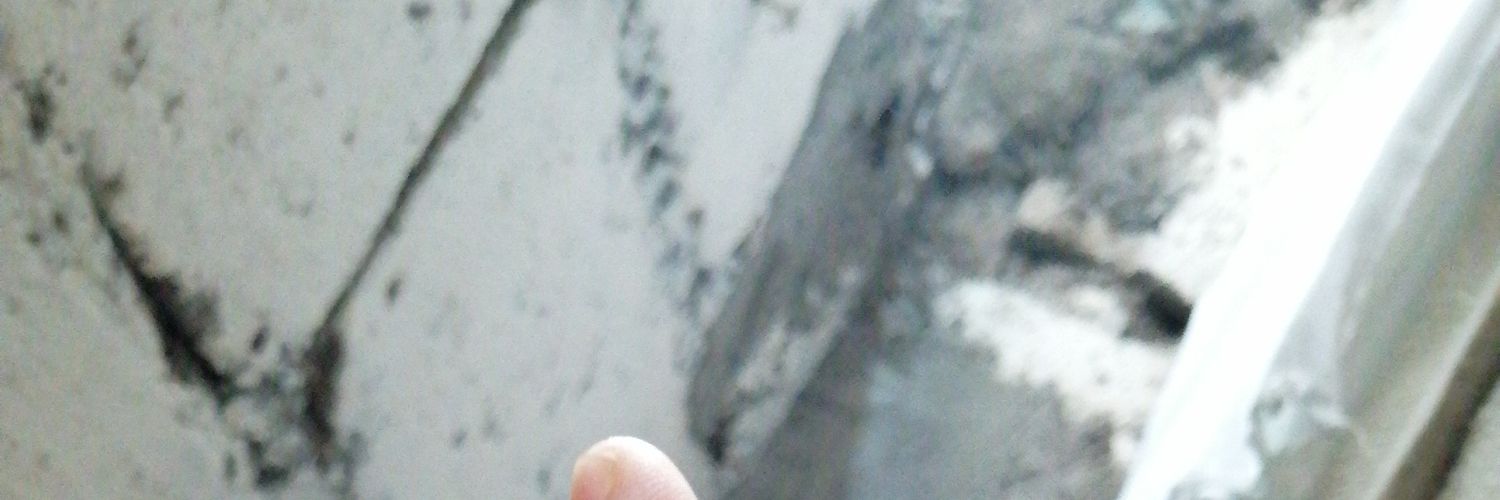 AlterAdam21's profile banner image
