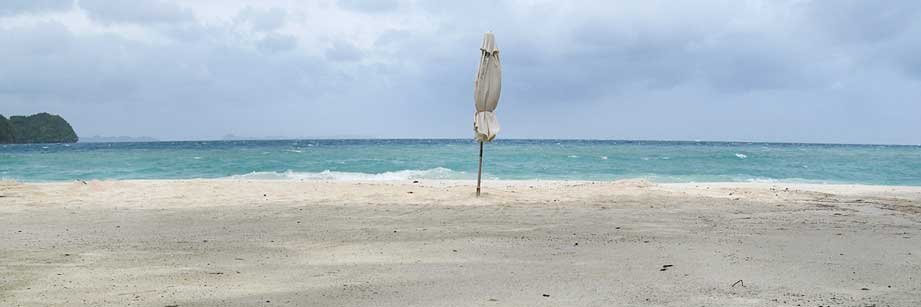 Angela Amoroso banner