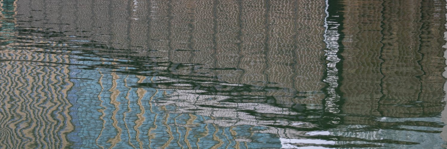 ranneechan's profile banner image