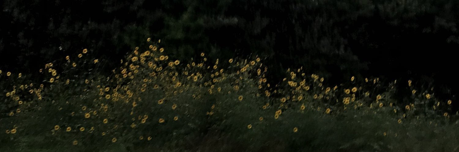 zenemijjj's profile banner image