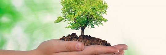 Jeiller Carmona Brito banner