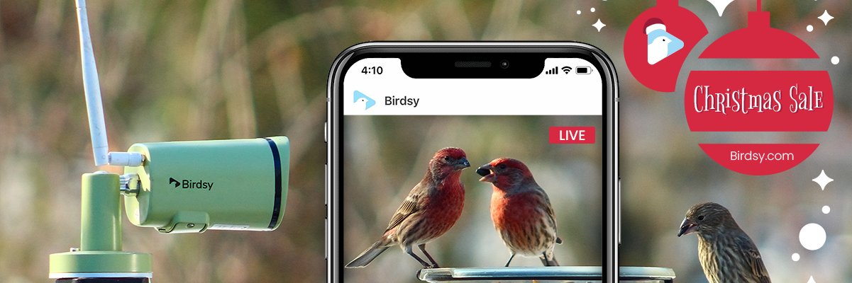 BirdsyTV banner