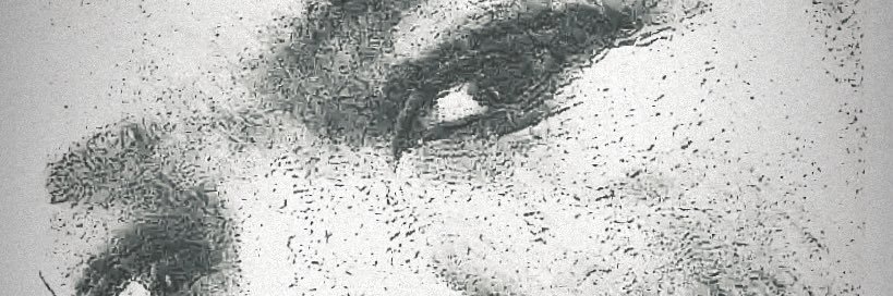 scar_stitches's profile banner image