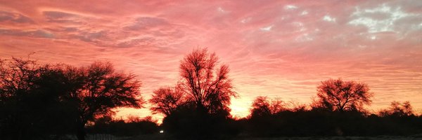 PattyPyme Profile Banner