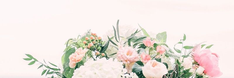 Prily Rosalina M. banner
