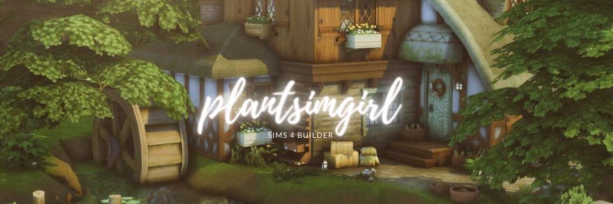 plantsimgirl 🌱⭐️'s banner