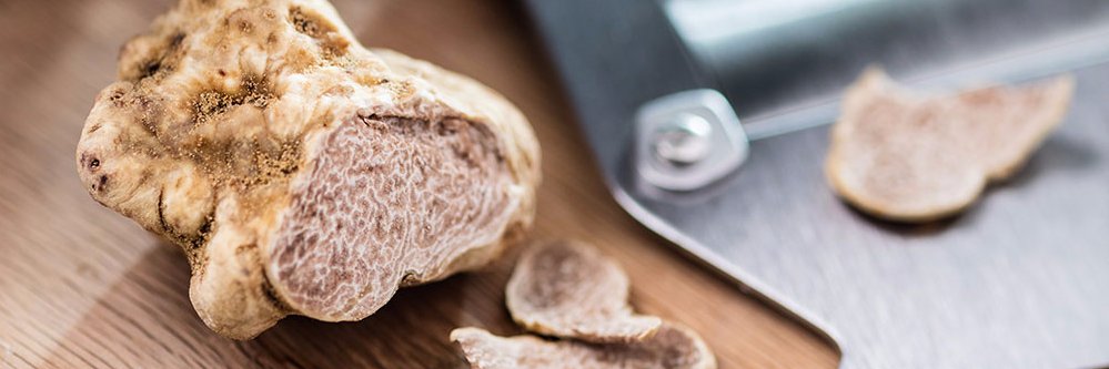 TruffleHunterUK's profile banner image