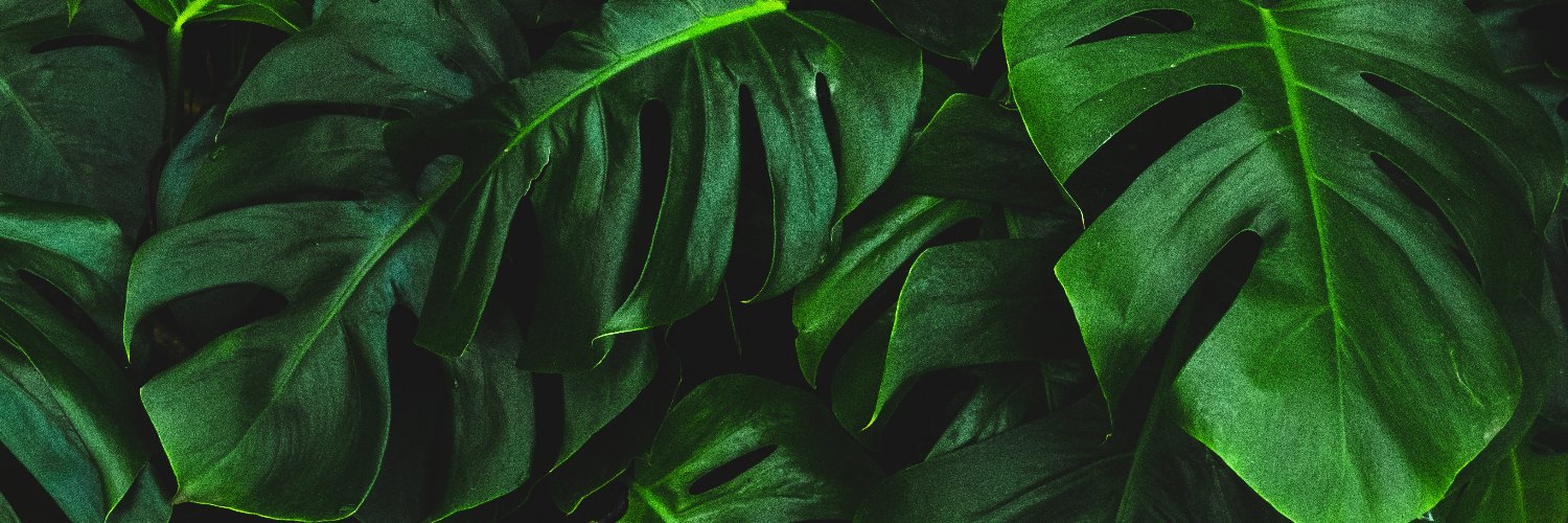 AlesAstro's profile banner image
