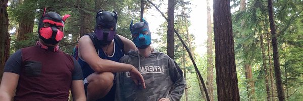 PupkinPatch Profile Banner