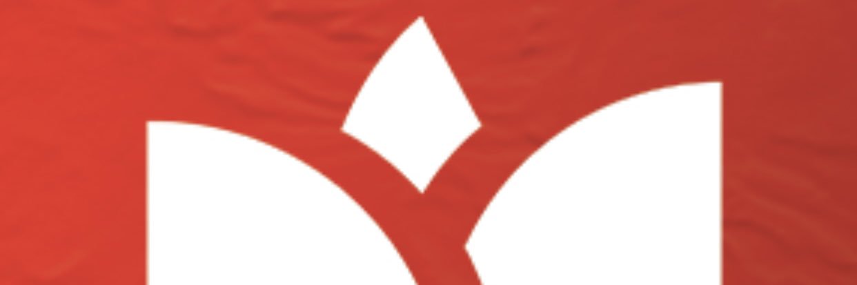 ROSE_Kashi's profile banner image