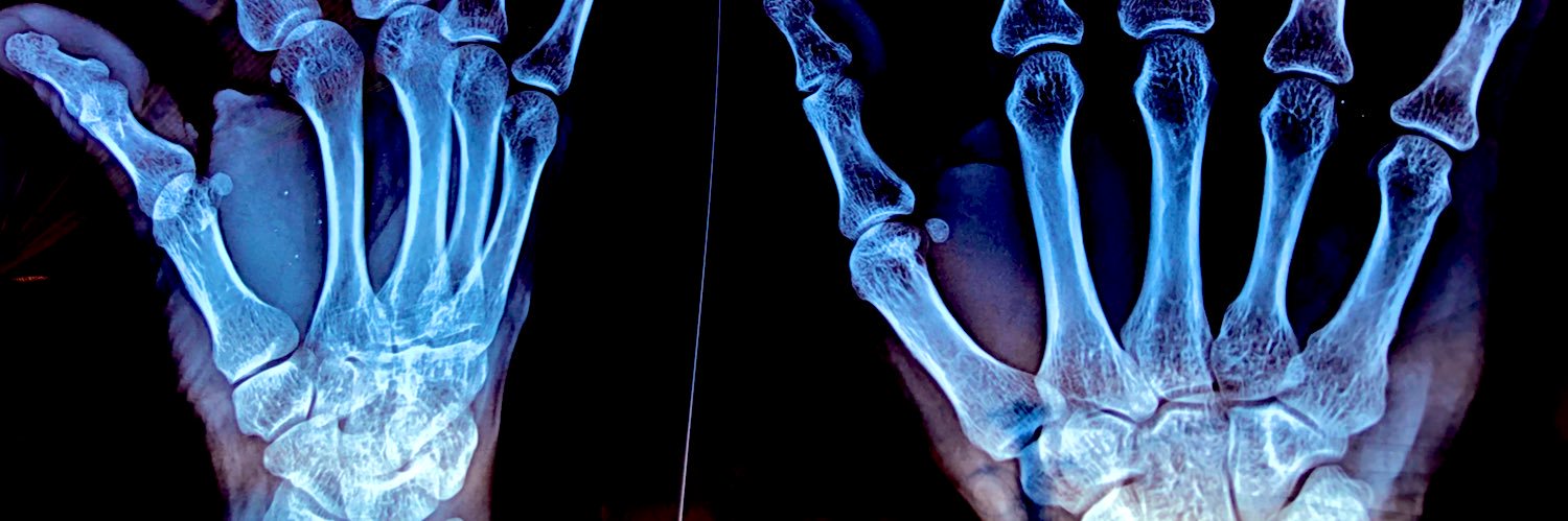 Pelusa Barroca banner