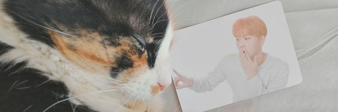 Madebebe2's profile banner image