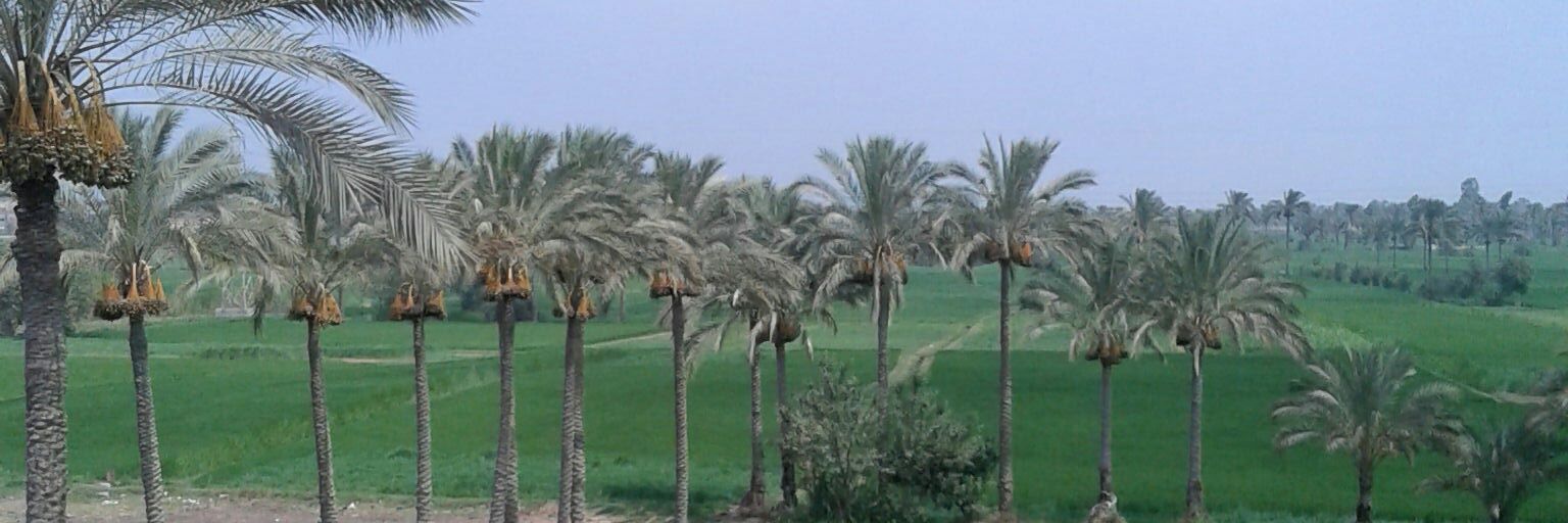 la2brdo's profile banner image