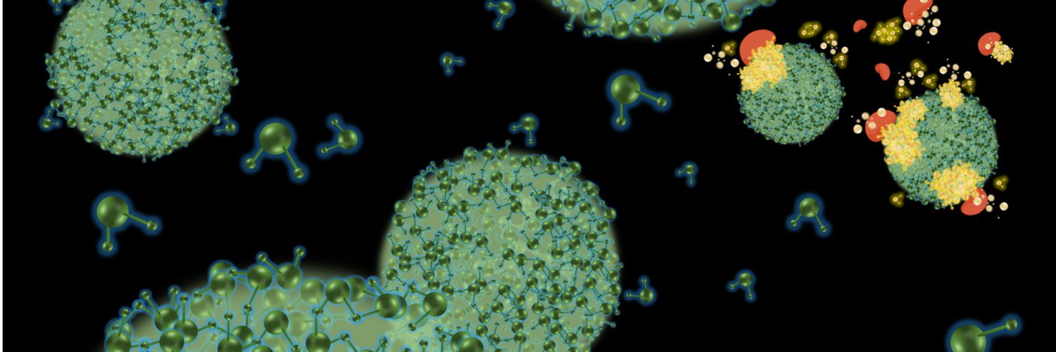 Parinaz Fathi, PhD banner