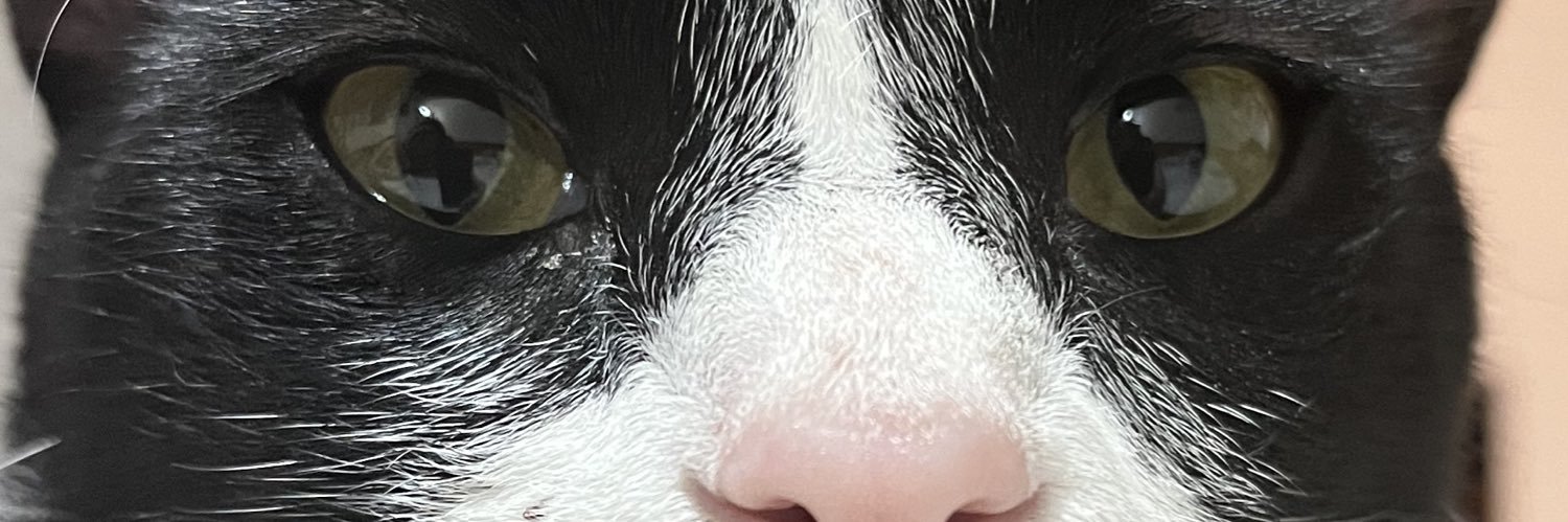 herediasofiii's profile banner image