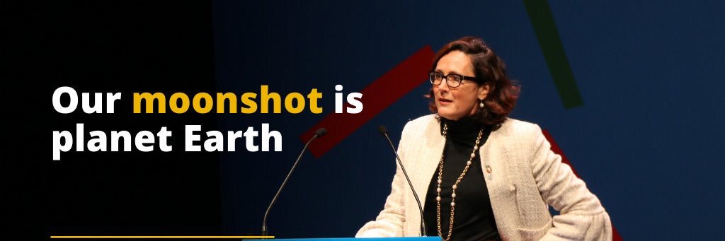 Sandrine Dixson banner