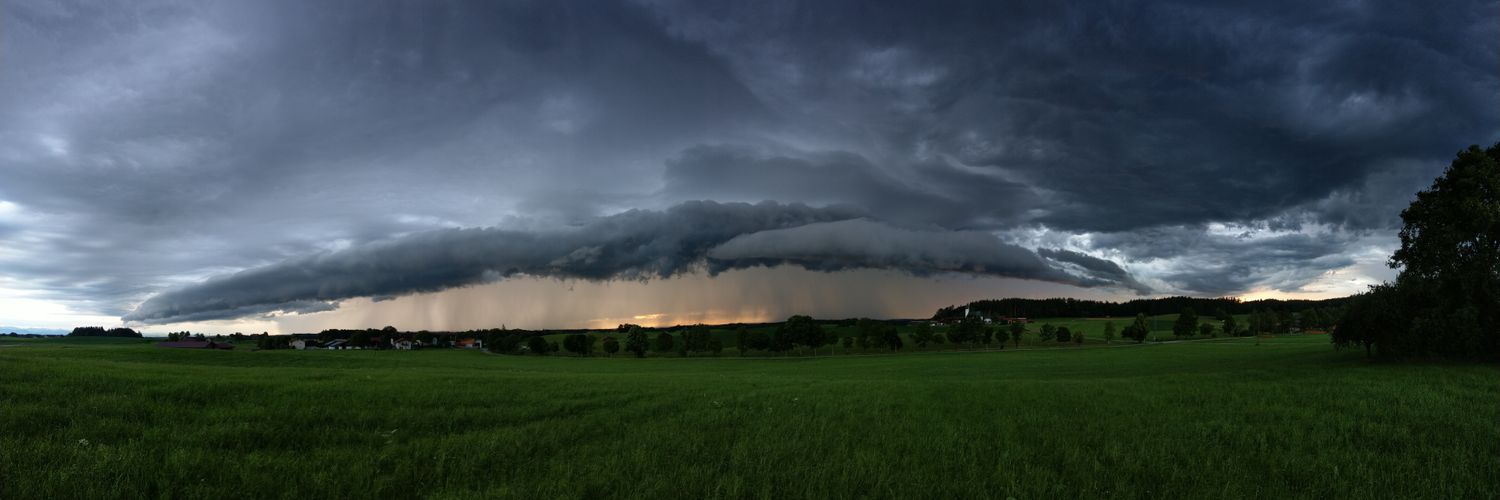 Bänshee_Holzi banner