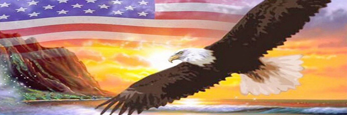 Shadow Bird banner