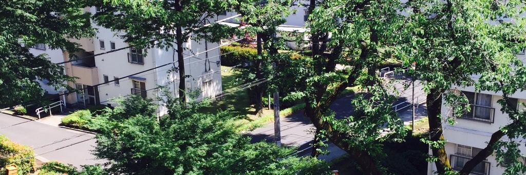 shufu_s's profile banner image